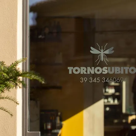 Torno Subito Ottiglio