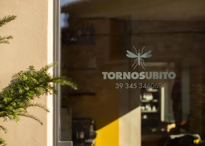 Torno Subito Ottiglio